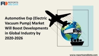 Automotive Evp (Electric Vacuum Pump) Market infrastructure growth and development 2019 - 2026