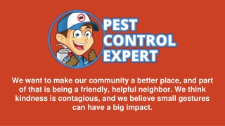 Pest Exterminator - Pest Control Expert