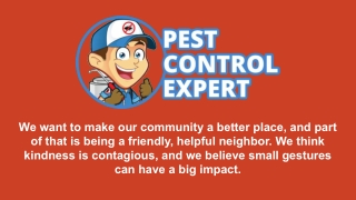 Pest Exterminator - Pest Control Expert