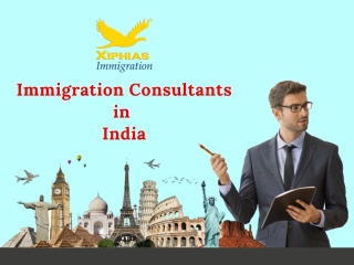 Immigration consultant in India