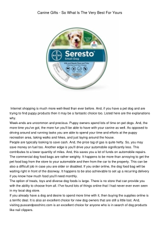 Dog Training Collar
