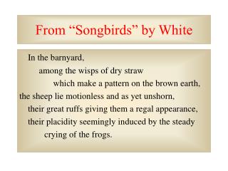 From “Songbirds” by White