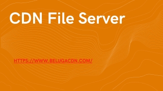 CDN File Server