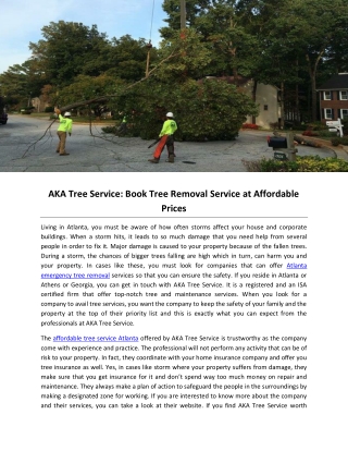 AKA Tree Service: Book Tree Removal Service at Affordable Prices