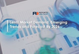 Lentil Market Share, Demand and Size 2026