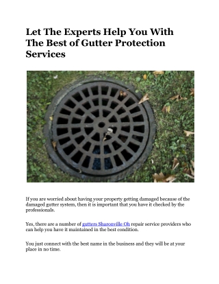 Let The Experts Help You With The Best of Gutter Protection Services