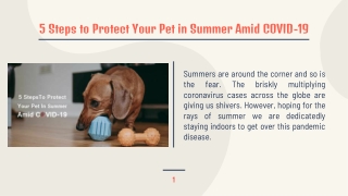 Pet Summer Tips: 5 Steps To Protect Your Pet In Summer Amid COVID-19