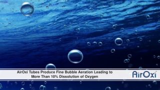 AirOxi Tubes Produce Fine Bubble Aeration Leading to More Than 10% Dissolution of Oxygen