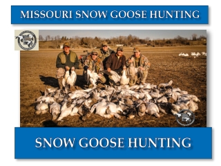 SNOW GOOSE HUNT