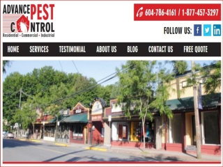 Pest control langley