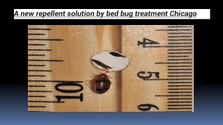 A new repellent solution by bed bug treatment Chicago