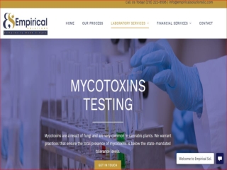 Mycotoxins mold