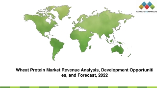 Wheat Protein Market Revenue Analysis, Development Opportunities, and Forecast, 2022