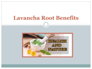 Surprising Lavancha Root Benefits & Its Practical Uses