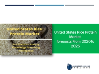 An Extensive Study on United States Rice Protein Market
