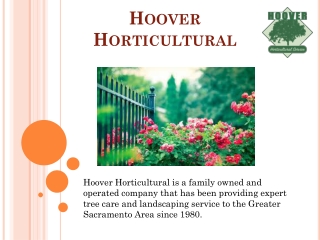 Hoover Horticultural - Landscape Design Expert