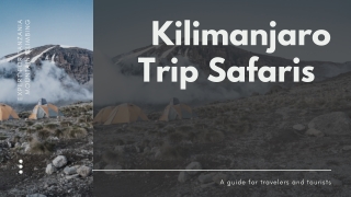 Kilimanjaro Trip for Climbing Mount Kilimanjaro