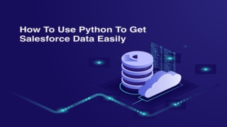 How To Use Python To Get Salesforce Data Easily?