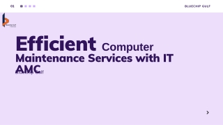 Efficient Computer Maintenance Services with IT AMC