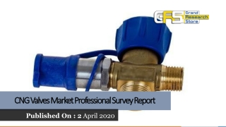 CNG Valves Market Professional Survey Report