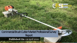 Commercial Brush Cutter Market Professional Survey Report