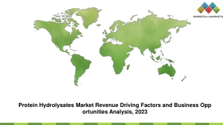 Protein Hydrolysates Market Revenue Driving Factors and Business Opportunities Analysis, 2023