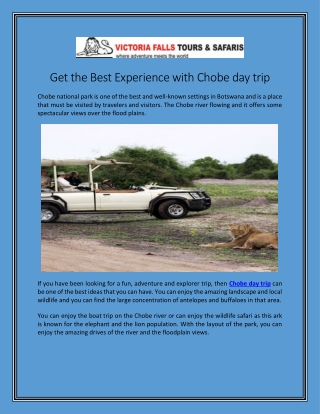 Get the Best Experience with Chobe day trip