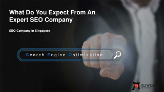 What do you expect from an expert SEO company