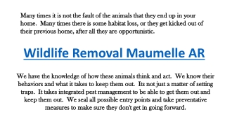 Wildlife Removal Maumelle AR