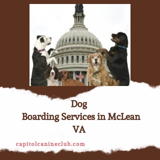 Dog Boarding Services in McLean VA