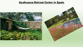 Ayahuasca Retreats Spain, Europe