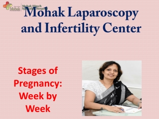 Stages of Pregnancy: Week by Week