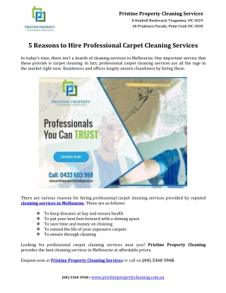 5 Reasons to Hire Professional Carpet Cleaning Services