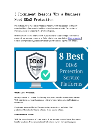 5 Prominent Reasons Why a Business Need DDoS Prote
