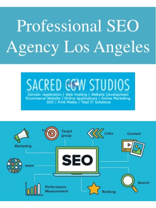 Professional SEO Agency Los Angeles