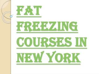 Fat Freezing Courses in New York