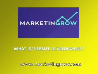 What is website development?