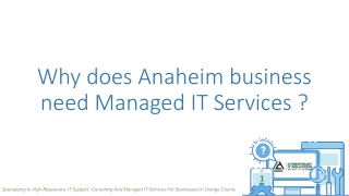 Why does Anaheim business need Managed IT Services ?