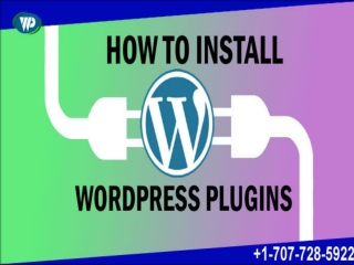 Step by Step Guide to Install & Active a WordPress Plugin