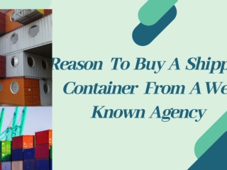 Reasons To Buy A Sipping Container From Shipping Agency