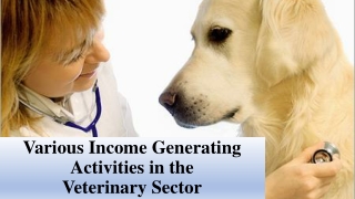 Various Income Generating Activities in the Veterinary Sector