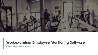 Workexaminer Employee Monitoring Software