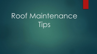 5 Roof Maintenance Tips to Consider