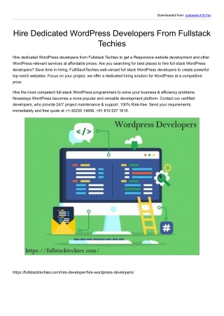 Hire Wordpress developer