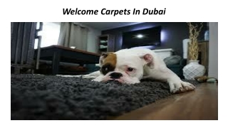 Welcome carpets in Dubai