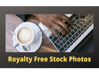 Royalty Free Stock Photos | PICHA Stock