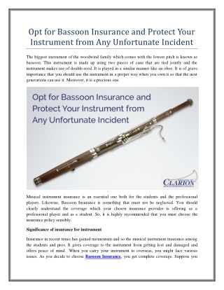 Opt for Bassoon Insurance and Protect Your Instrument from Any Unfortunate Incident