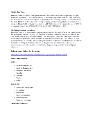 Flow Meters Market Growth and Size | Industry Research Report 2025