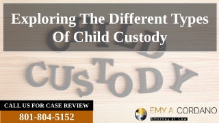 Exploring The Different Types Of Child Custody