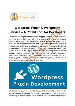 Wordpress India - Wordpress Plugin Development Services